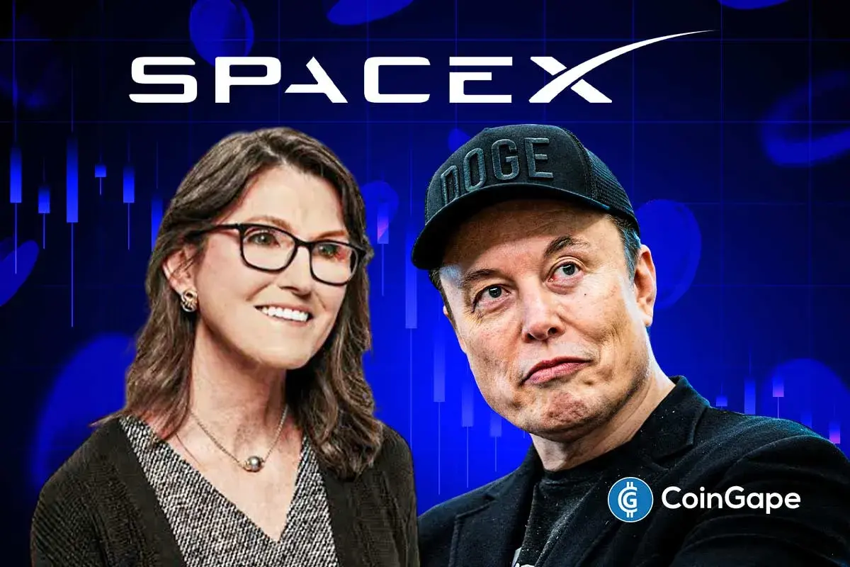 Cathie Wood Buys The Dip In SpaceX Stock Amid AI Bubble Warning By Experts