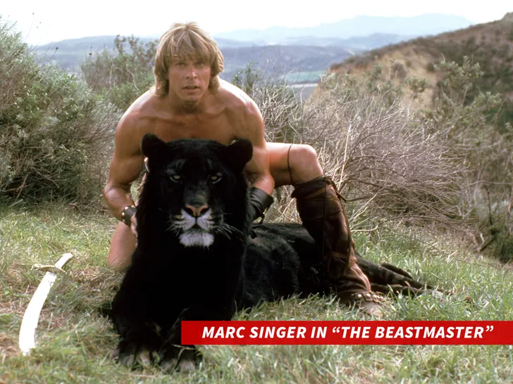 marc-singer-everett-collection-1
