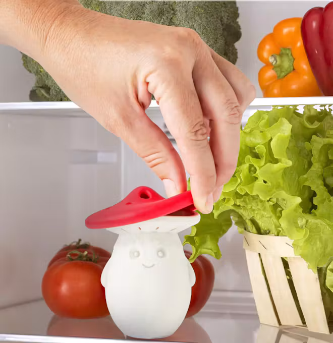 OTOTO Fridge Deodorizer