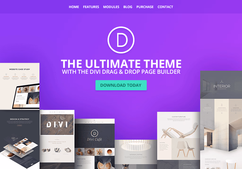 Divi divi landing page WordPress theme