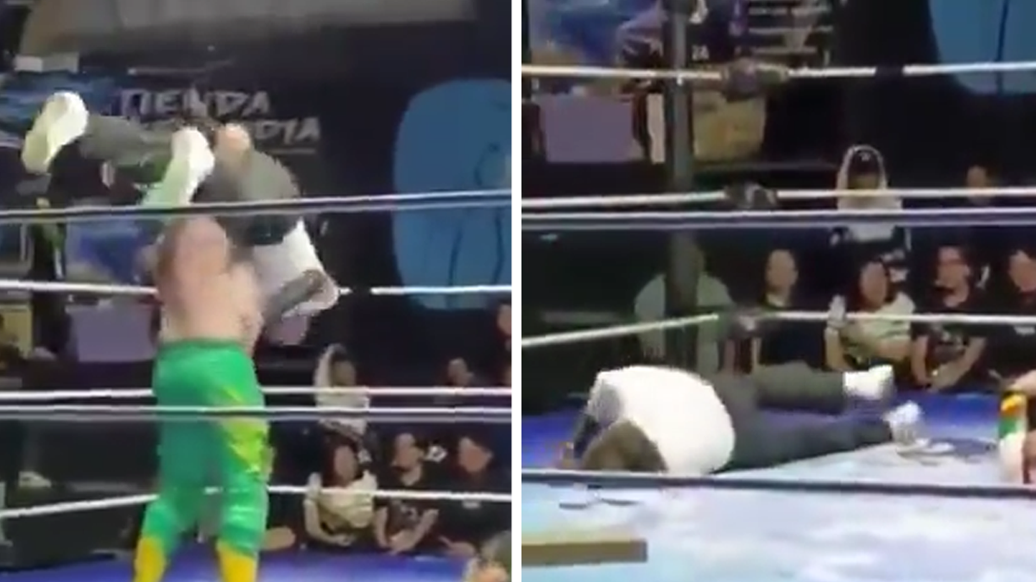 Wrestler Arrested After Referee Dies From Piledriver, Charged With Manslaughter