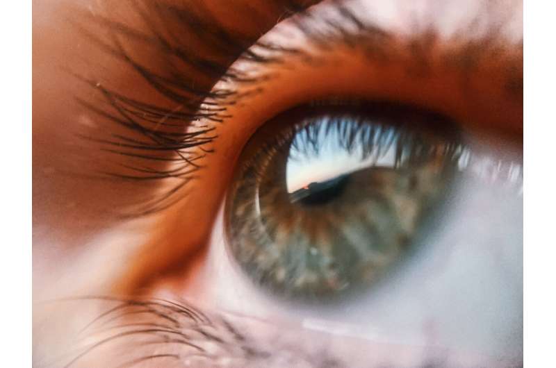 eye-movement