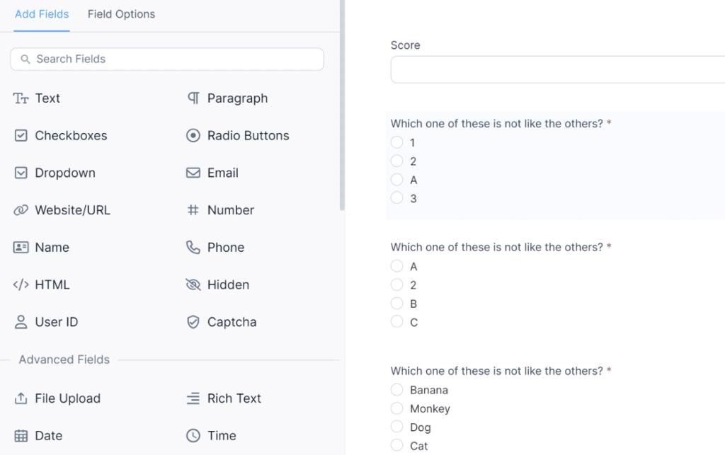 Formidable Forms interface