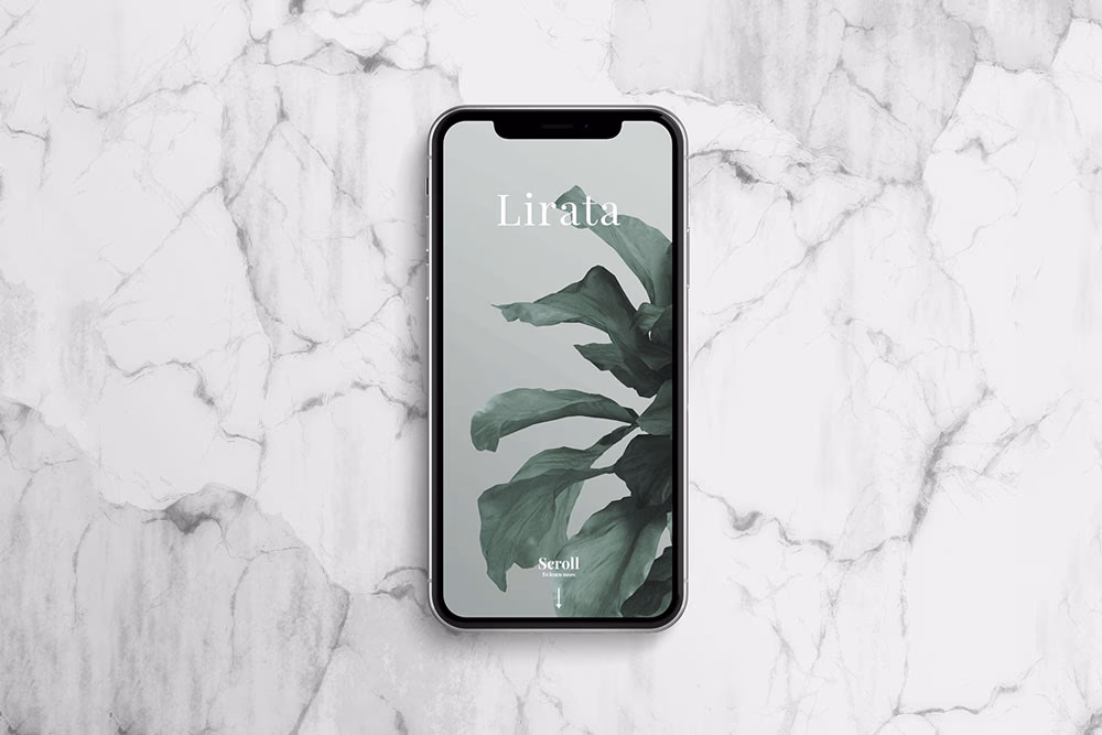 free iphone x mockup stone background