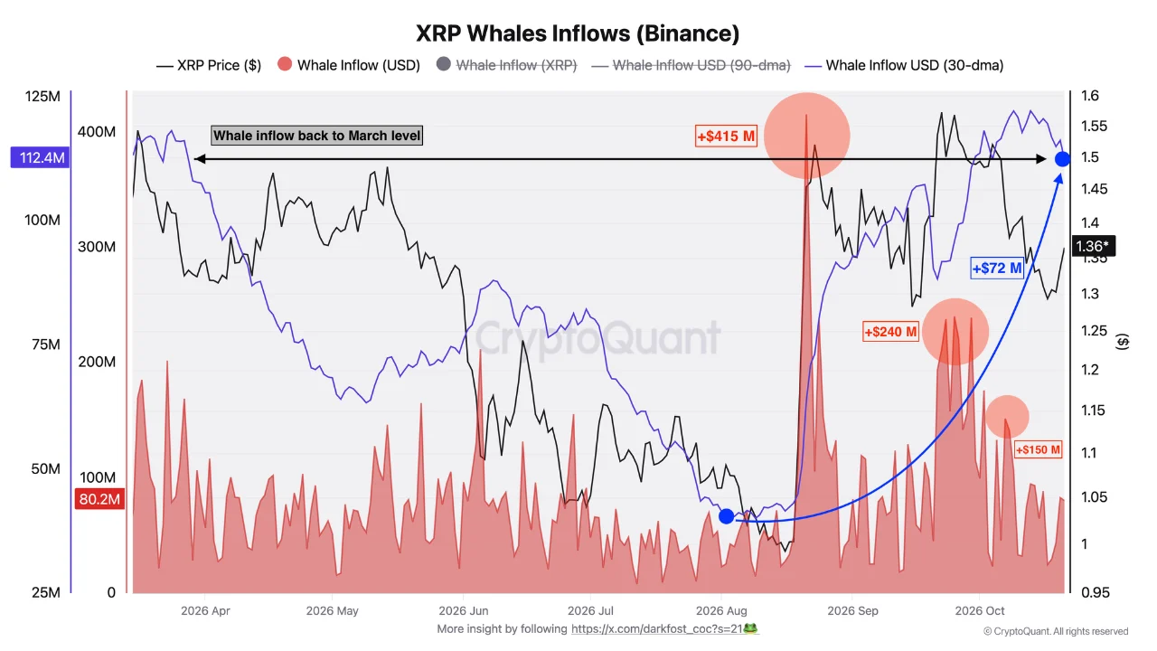 XRP Whale Outflows Surge