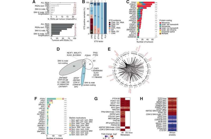 Genomic cancer driver study reveals new clues to why some prostate cancers become aggressive