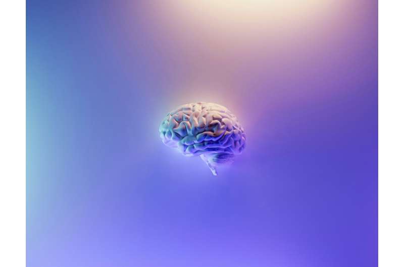 healthy brain