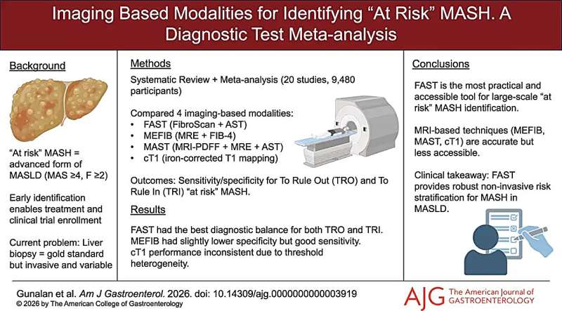 Imaging-based modalities compared for identifying at-risk MASH