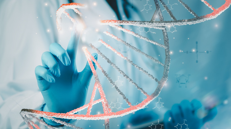 Digital DNA helix