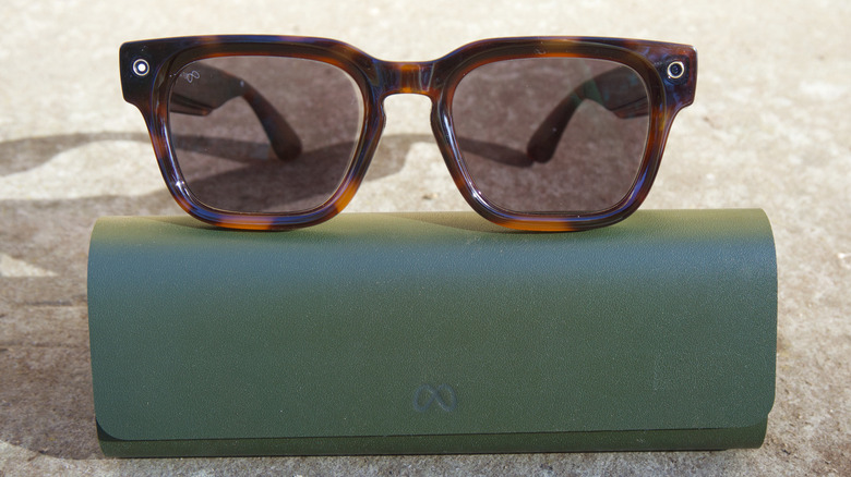 Tortoise-colored Meta Glasses are shown sitting on their forest green clamshell case