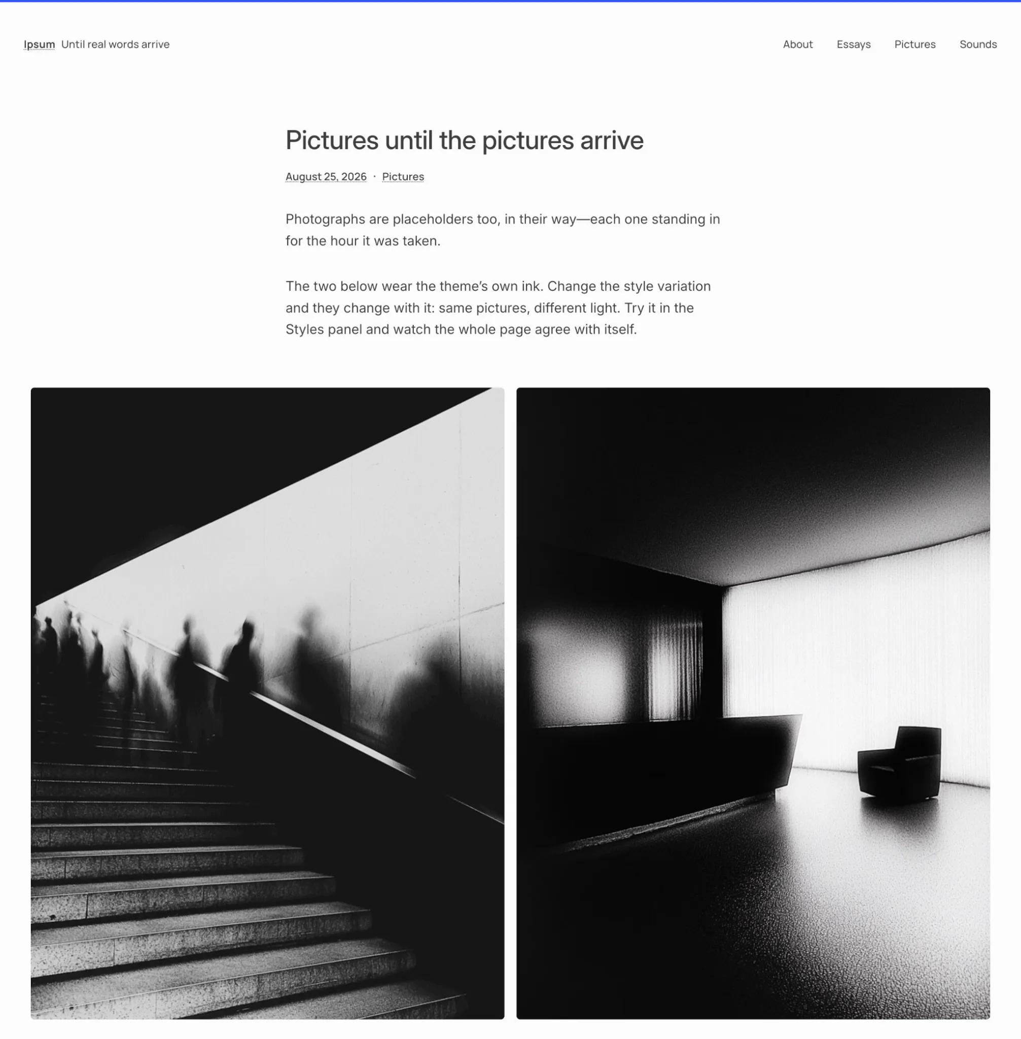 Single post page of the Ipsum theme with text and a gallery of demo images.