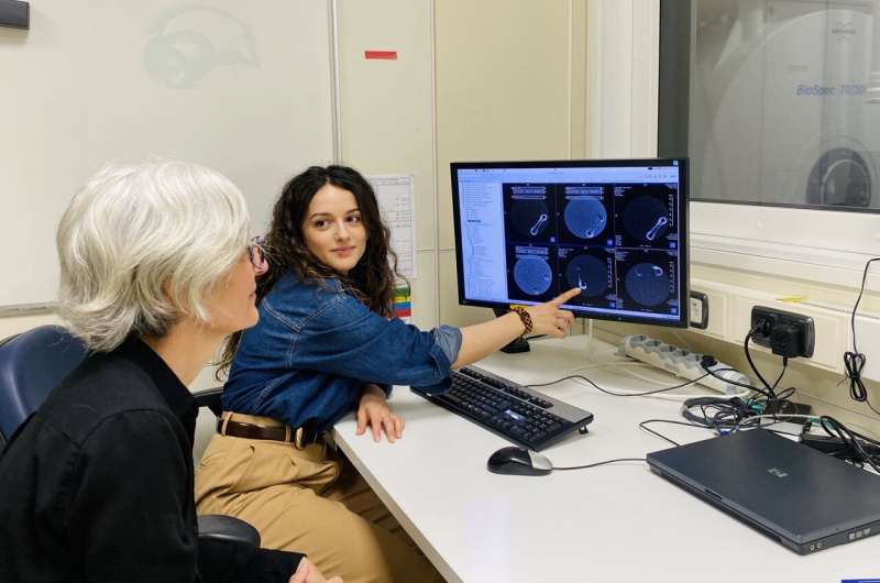 Iron-based MRI agent detects and slows heart scarring in lab-grown human tissue