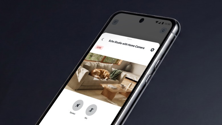Amazon Studio with Home Camera transmits an image of a dog to a smartphone