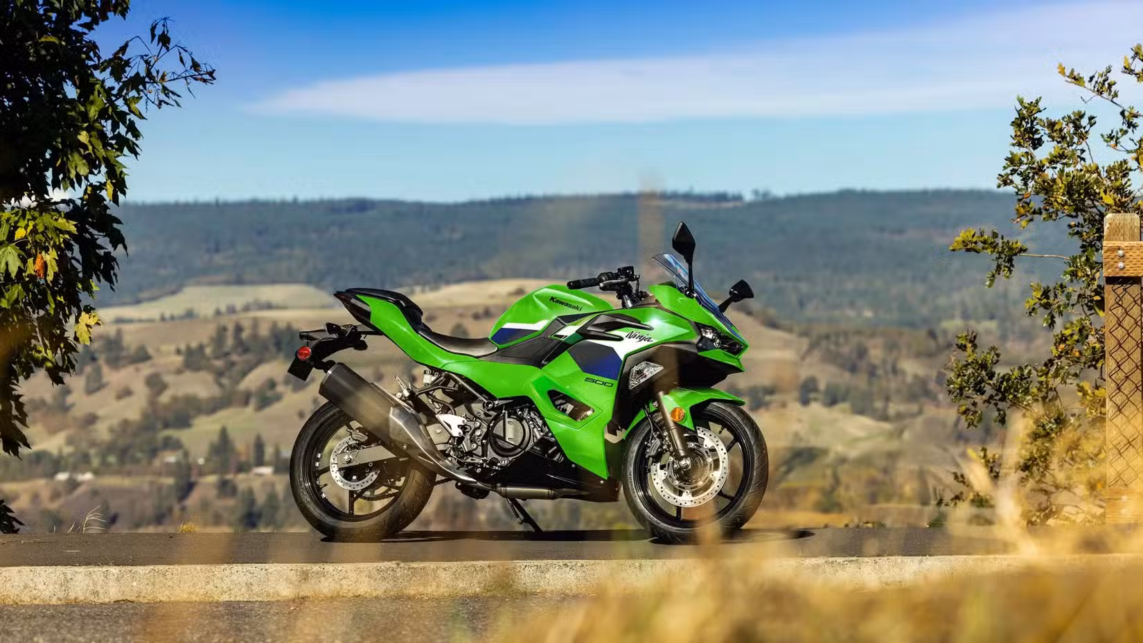 Side profile of Kawasaki Ninja 500 with tall grass in the foreground