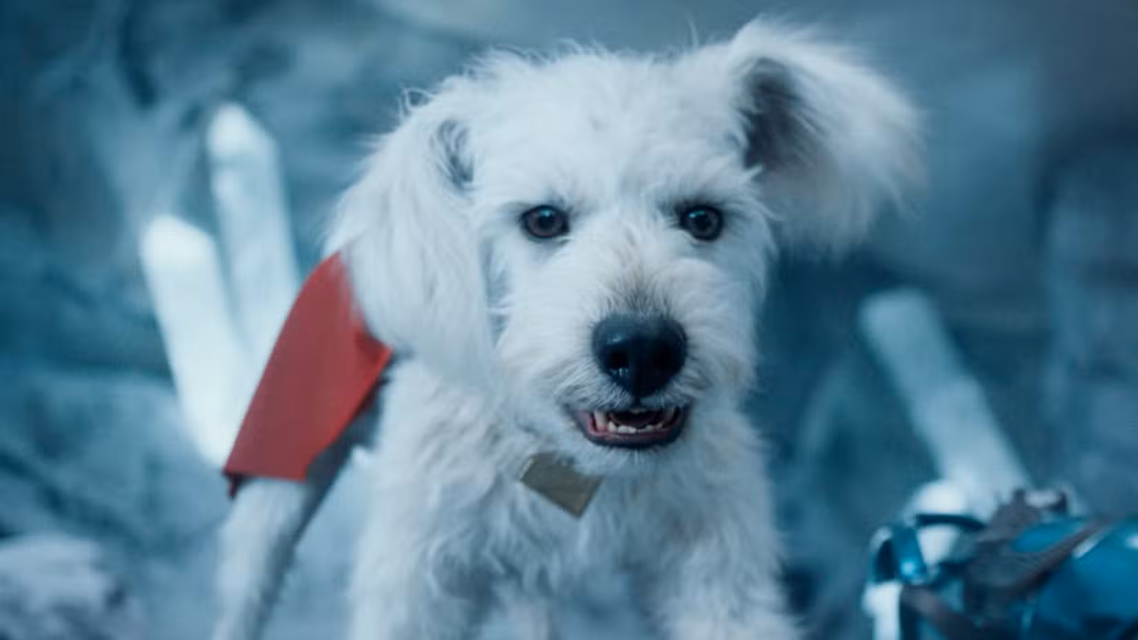 Krypto looking off-screen in the Fortress of Solitude in Superman