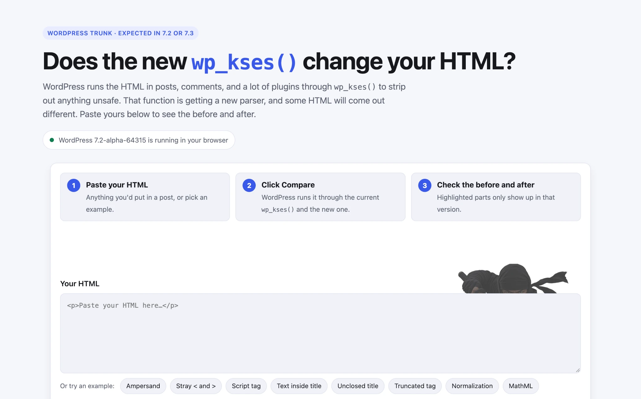 Screenshot of the wp_kses() testing tool showing an input box to paste your HTML.