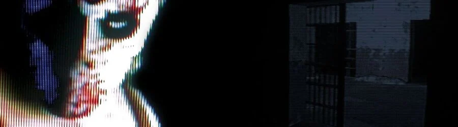 8. Manhunt (2004)