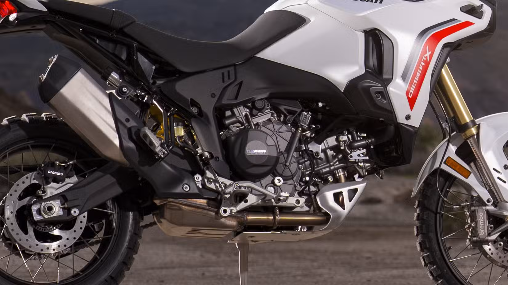 2026 Ducati DesertX V2 V-twin engine close-up shot