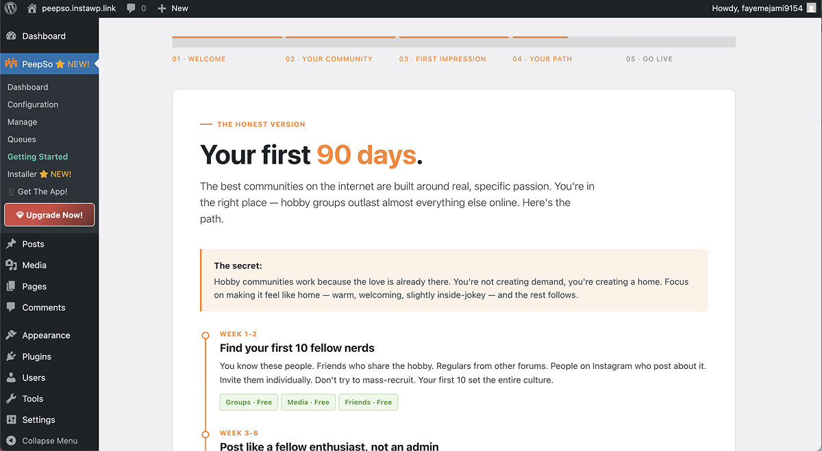PeepSo's onboarding wizard in WordPress.