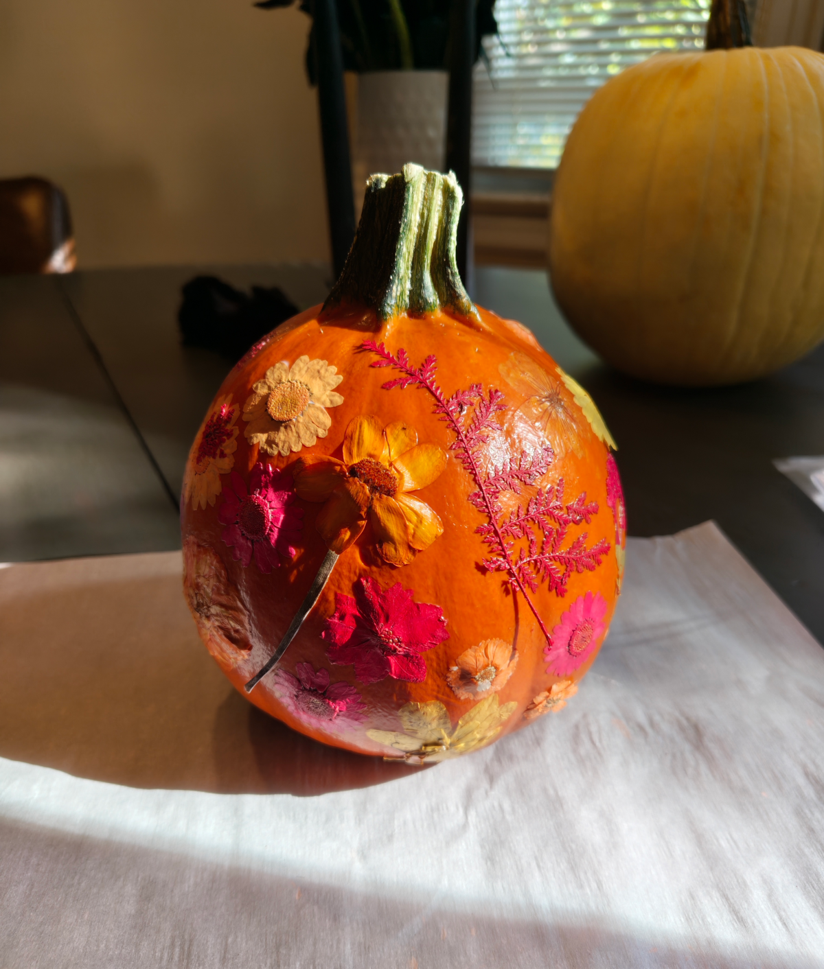 drying pumpkin