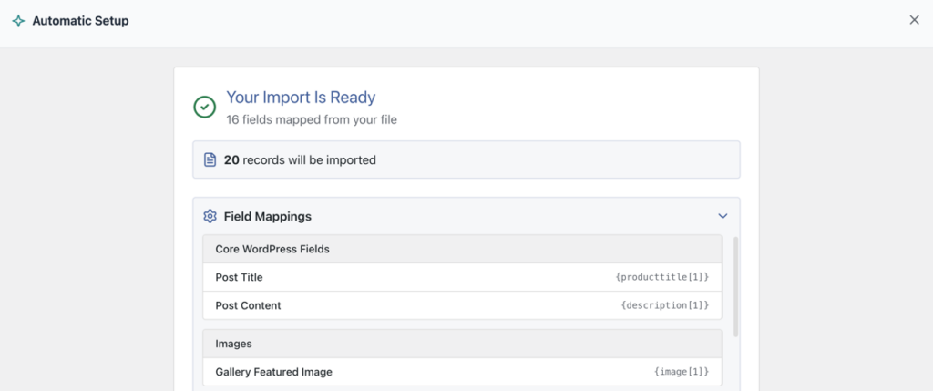 product fields mapped during WP All Import automatic setup WP All Import