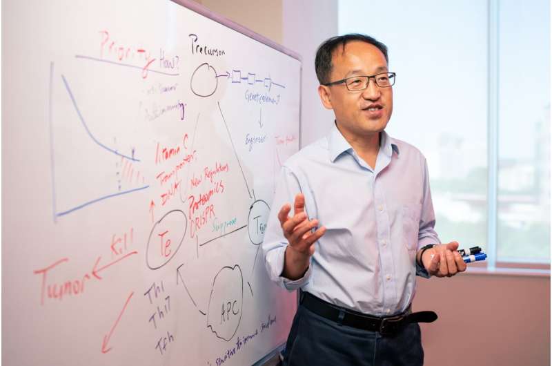 Corresponding author Yongqiang Feng, Ph.D., St. Jude Department of Immunology. Credit: St. Jude Children's Research Hospital Researchers identify pathway that enables regulatory T cells to prevent devastating autoimmune responses to gut bacteria