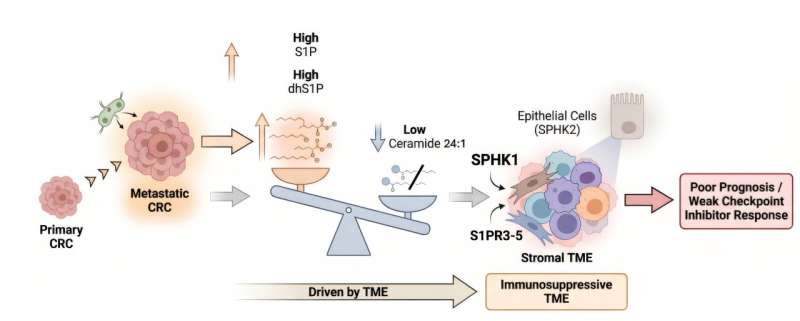 Rethinking the mechanism behind metastatic colorectal cancer
