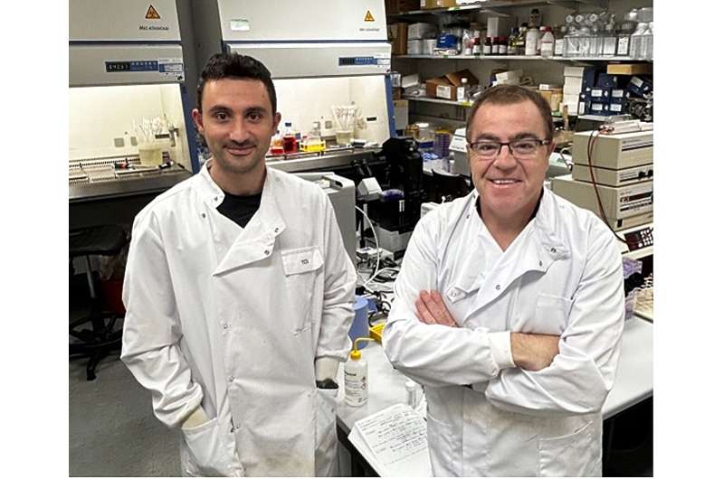 Scientists discover how cancers evade chemotherapy by entering 'Zombie-like state'