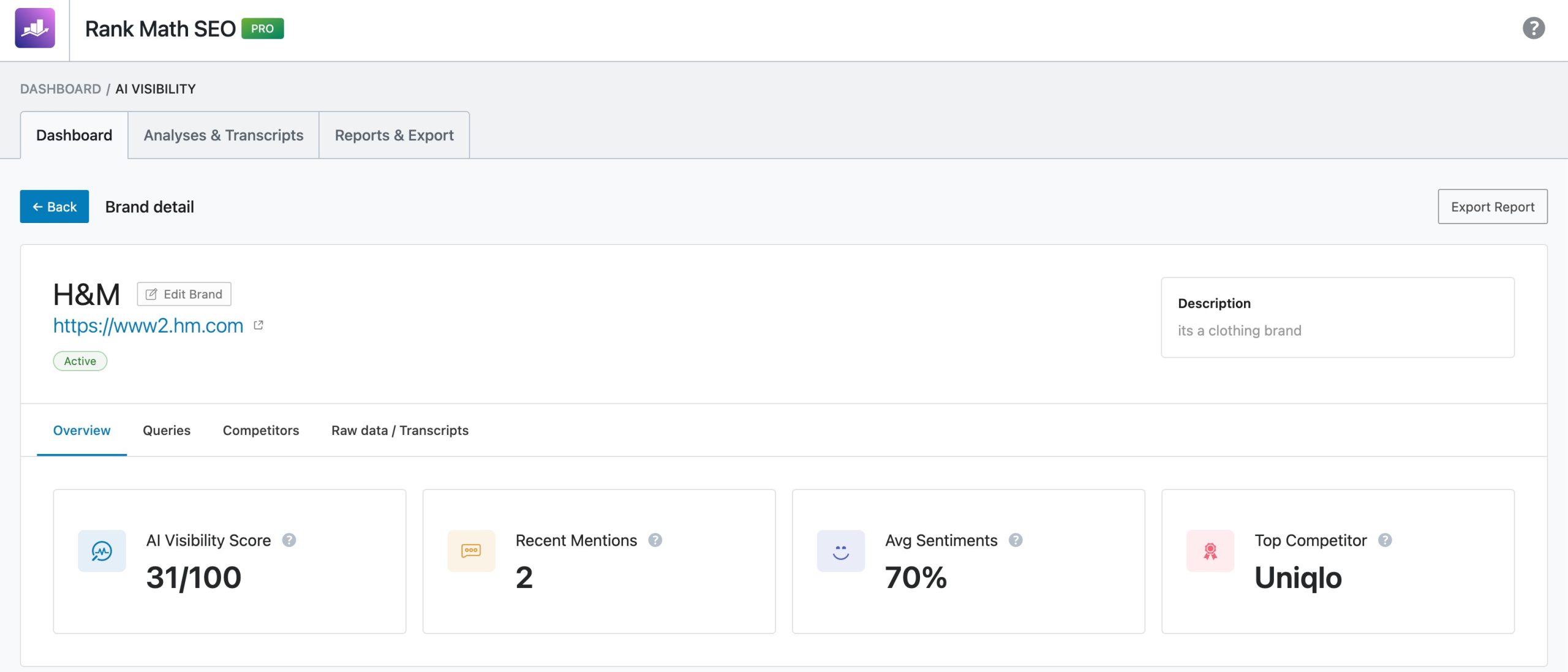 Specific brand mention in AI Visibility