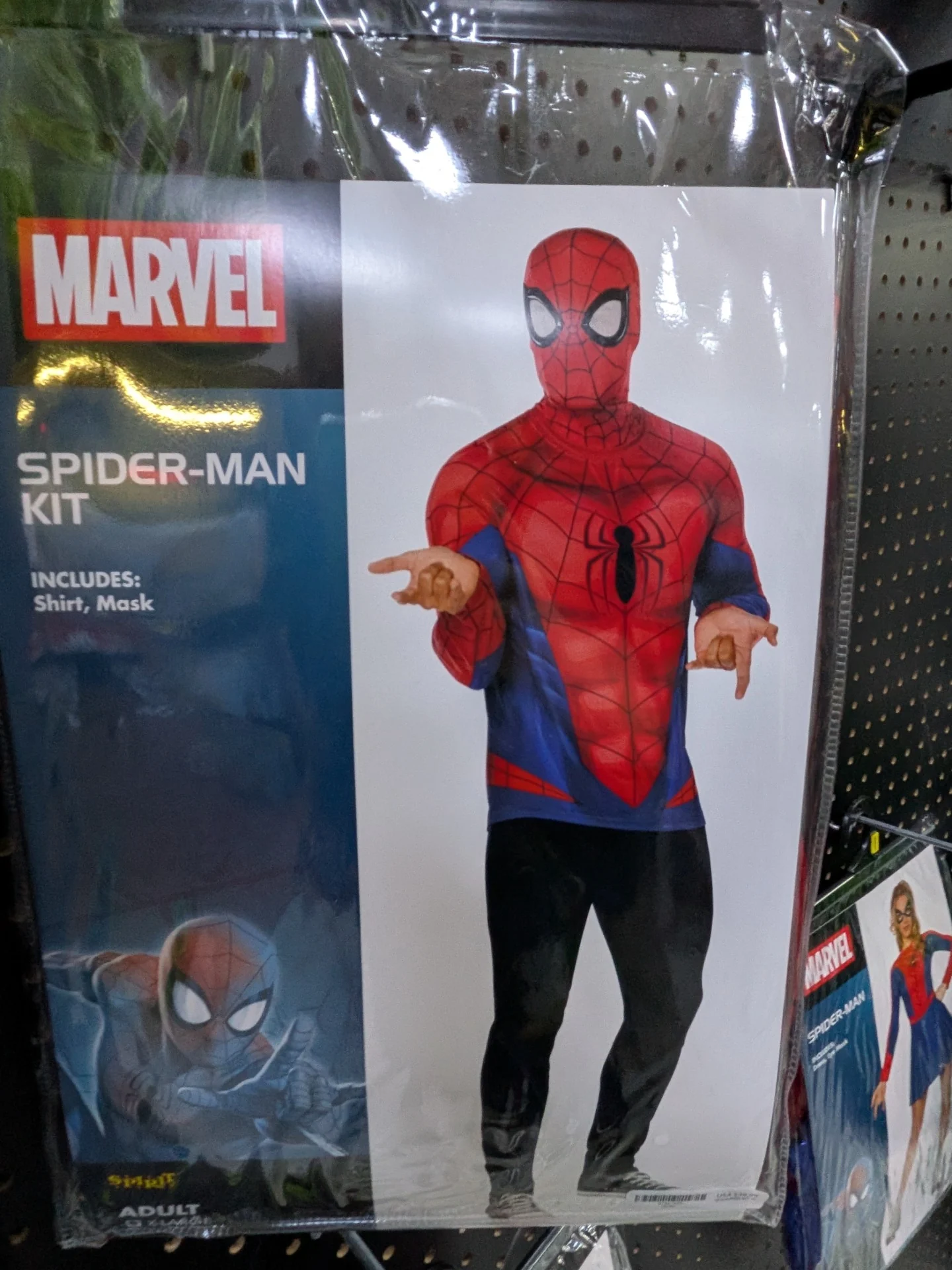 Spirit Lazy Spider Man