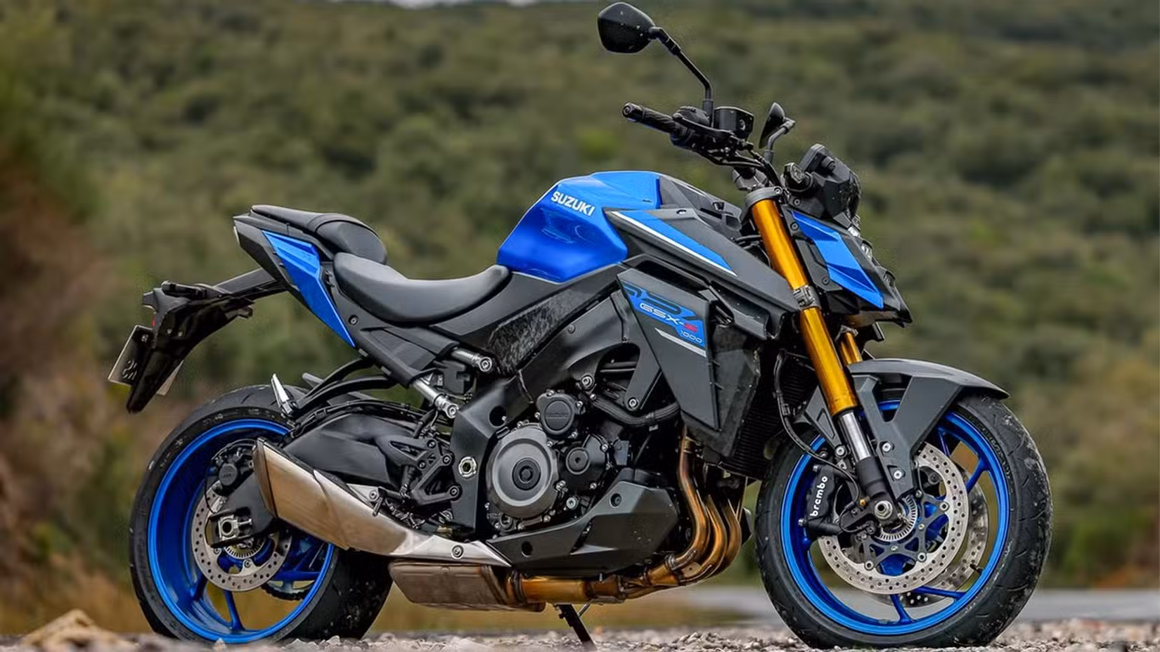 Static outdoor shot of a Suzuki GSX-S1000 parked on the side of the road