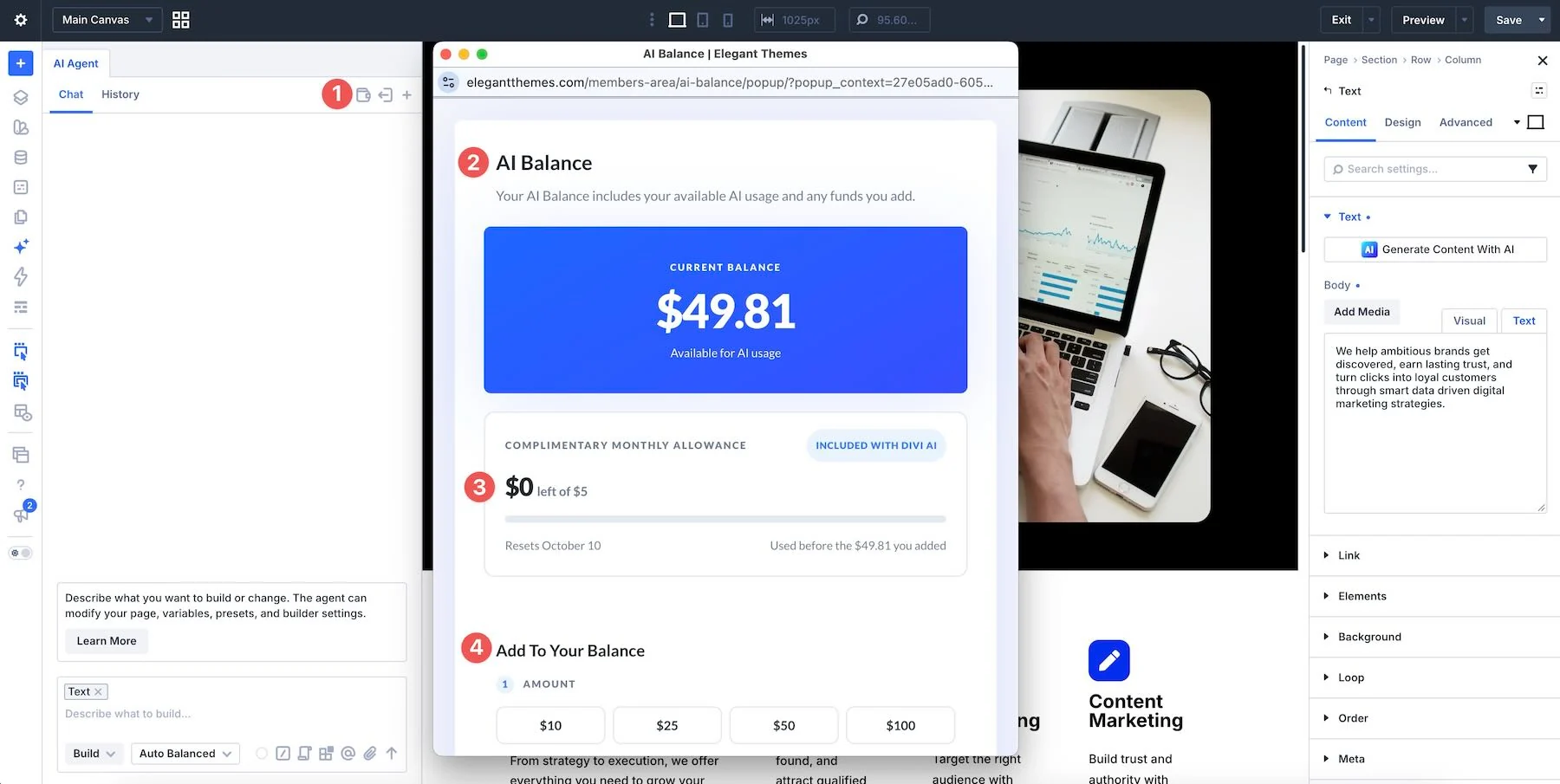 AI Wallet balance in the Divi AI agents interface