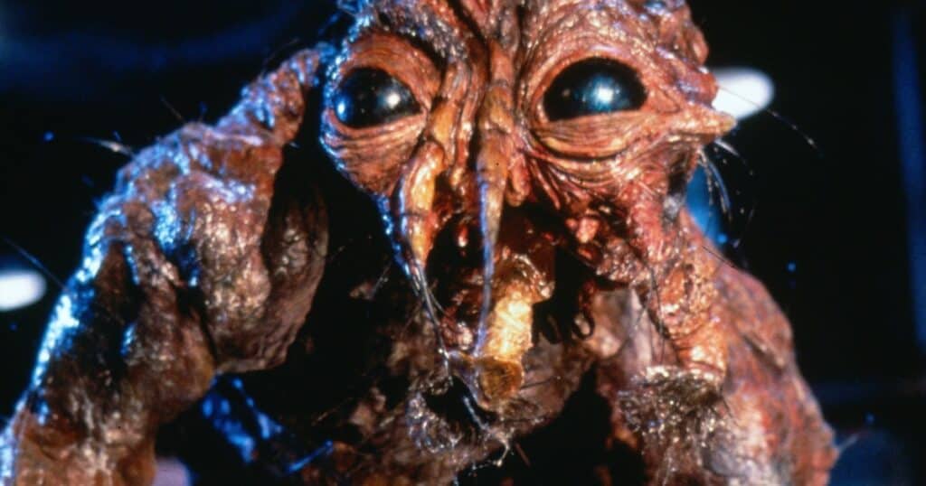 The Fly