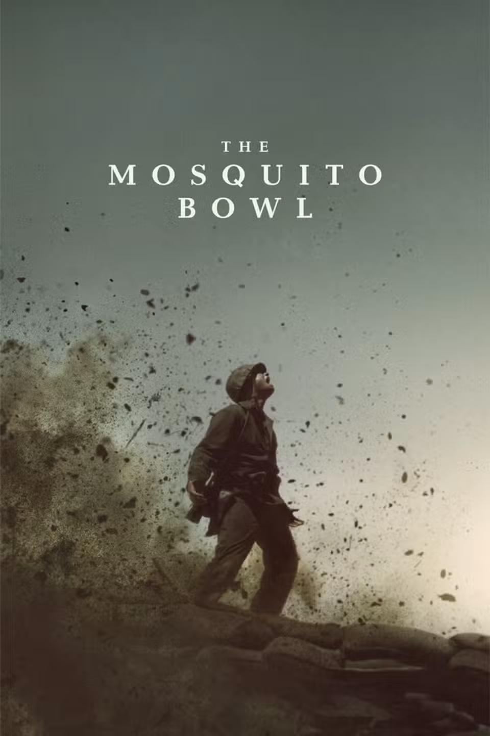 the-mosquito-bowl-poster.jpg