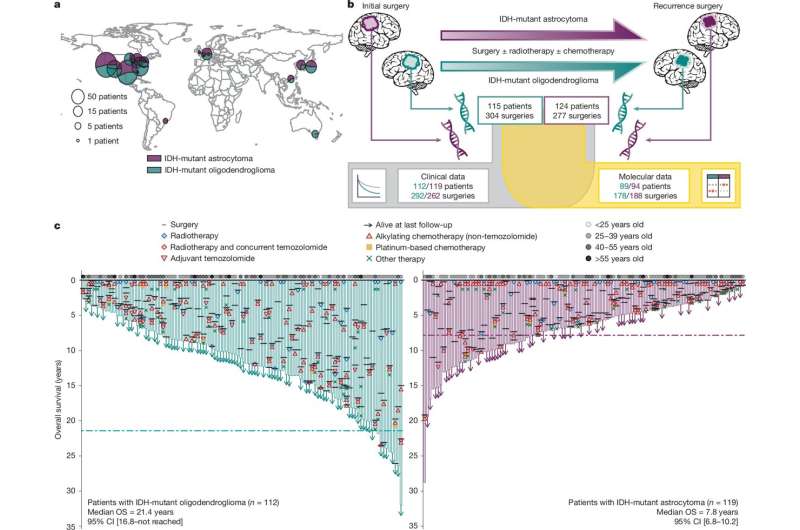 What happens when brain tumors return? International study tracks genetic changes behind recurring cancers