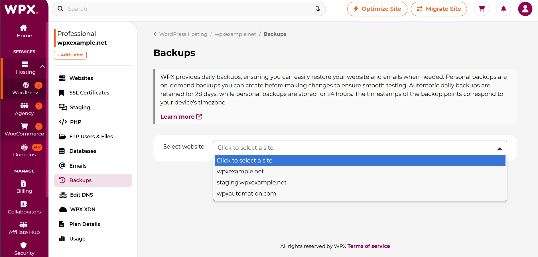 WPX control panel Backups screen with backup selection and restore controls.