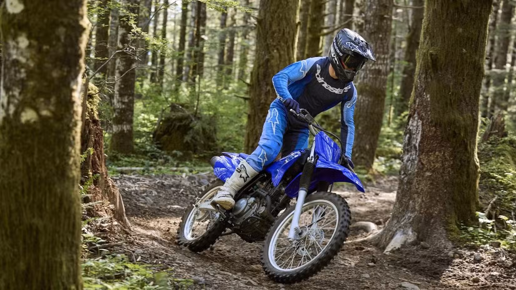 TT-R230 action