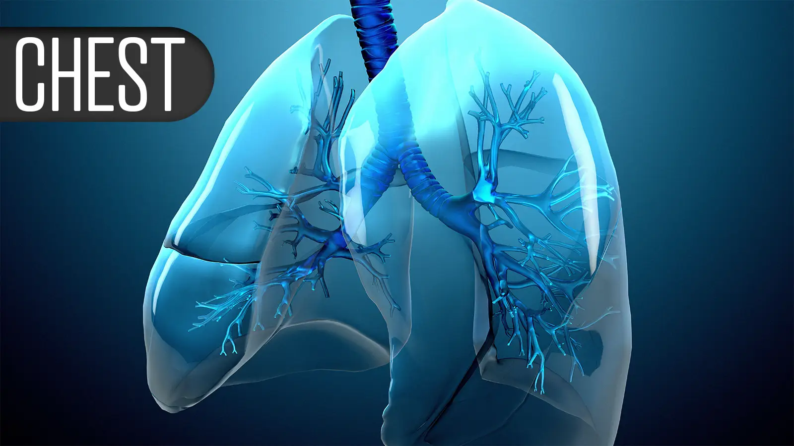 Novel Sleep Apnea Pill More Effective After Menopause?