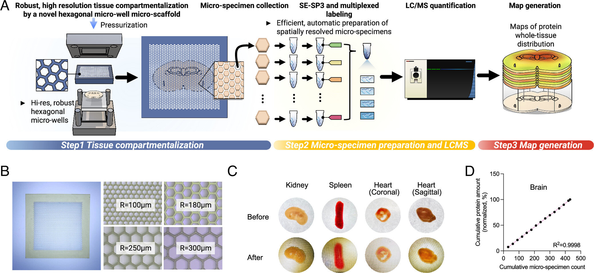 Creating ‘satellite maps’ of thousands of proteins across tissue could transform drug therapies