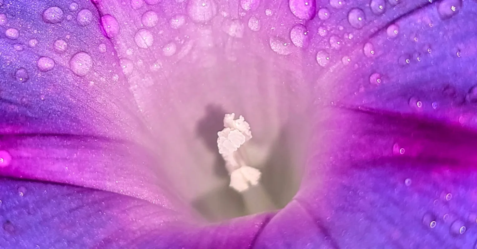 Savoring the Ordinary | Psychology Today