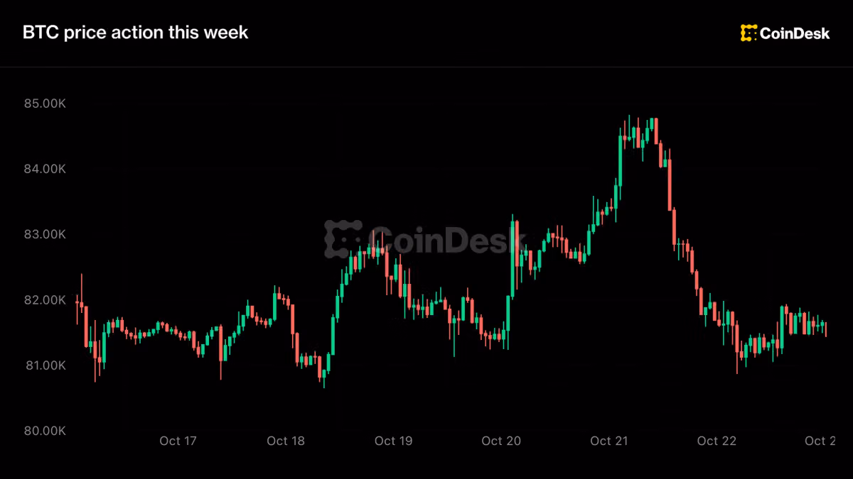Bitcoin holds above $81,000 as markets calm, oil continues to gain