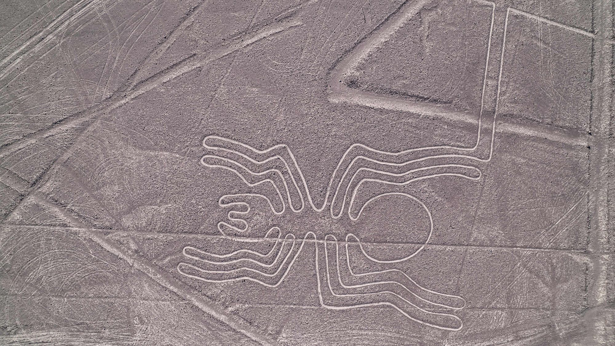 Why were the Nazca Lines built?